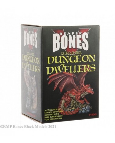 Bones 5 Dungeon Dwellers Expansion Boxed Set