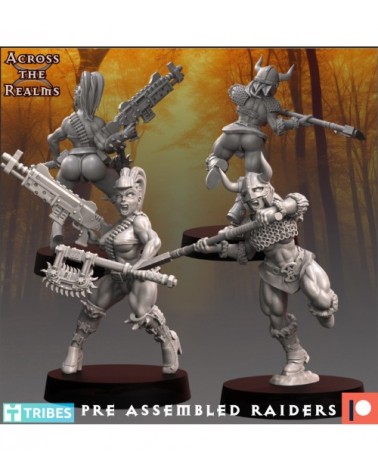 Chaos Post Apocalypse Hive Raiders (2U)