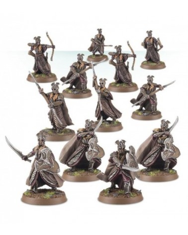 Mirkwood Armoured Elves Warband