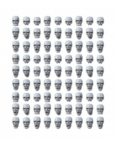 Human Skulls (90U)