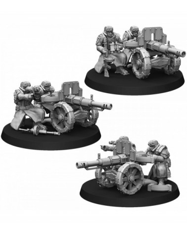 Ice Warriors Heavy Support Squad With Autocannon (3U)