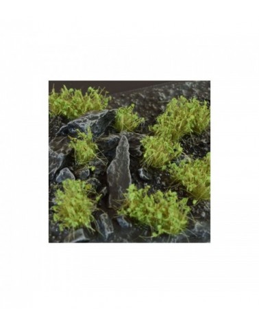 Dark Green Shrubs - Wild