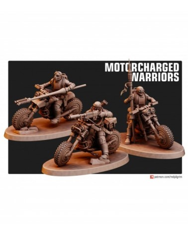 Old Guard Motorcharged Warriors (3U)