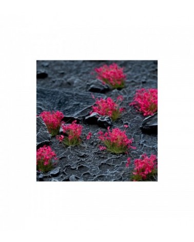 Pink Flowers - Wild