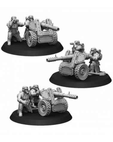 Steel Guard Heavy Support Squad With Autocannon (3U)