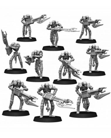 Tomb World Warriors (10U)