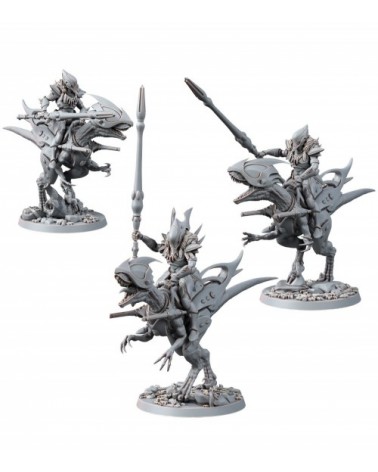 Aeterni Lance Raptors With Helmets (3U)