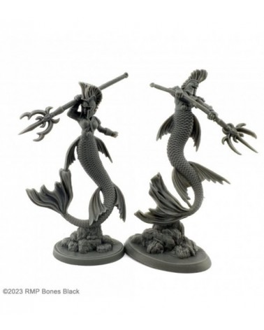 Merfolk Royal Guards (2)