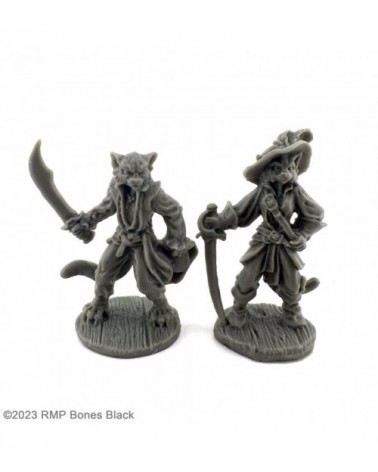 Catfolk Buccaneer and Duelist