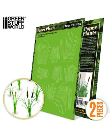 Roseaux - Plantes à Papier / Reeds- Paper Plants