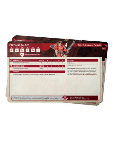 CARTES TECHNIQUES: BLOOD ANGELS FRANCAIS / Datasheet Cards: Blood Angels