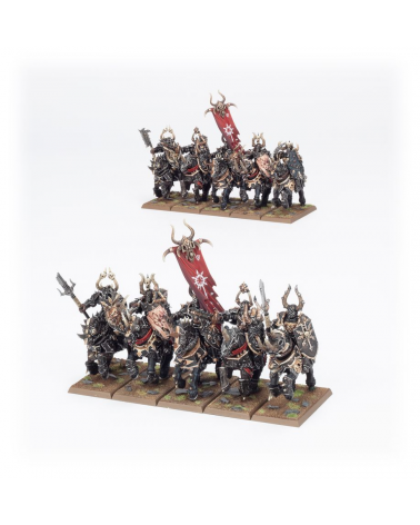 WARRIORS OF CHAOS: CHAOS KNIGHTS