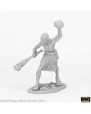 Stone Giant Guard