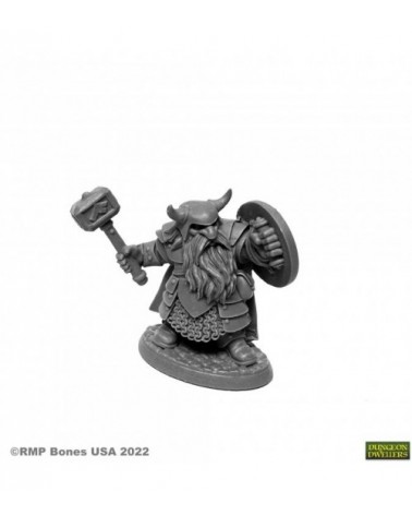 Borin Ironbrow, Dwarf