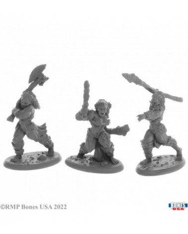 Jade Fire Warriors (3)